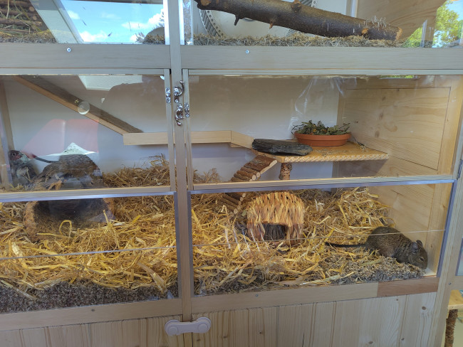 Die Oldies ziehen um.