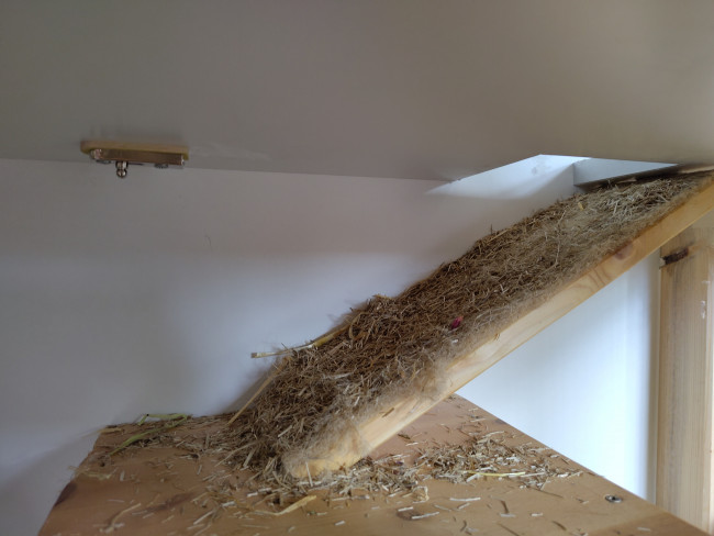 Compress_20240610_194830_0317.jpg (1.42 MiB) 8000 mal betrachtet Compress_20240610_194830_0317.jpg