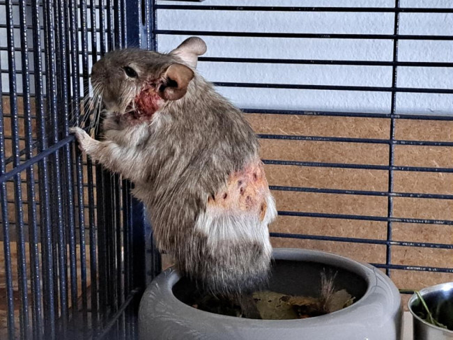 IMG_20250215_101124 - Kopie.jpg