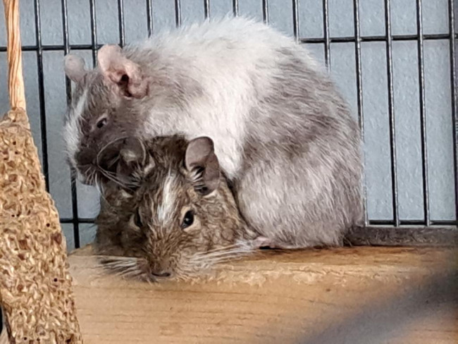 IMG_20250322_112326 - Kopie.jpg