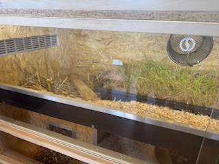 Buddelkiste und Gras