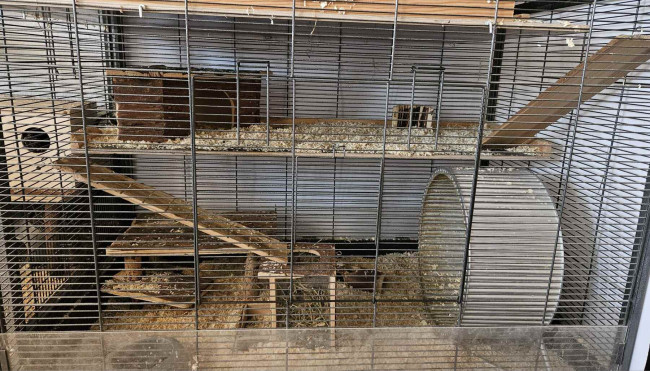 WhatsApp Image 2025-04-25 at 20.42.53.jpg