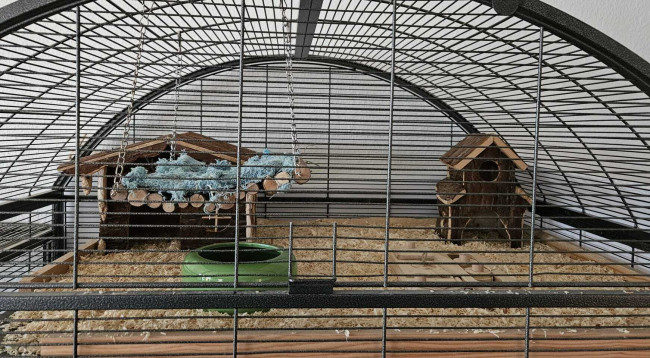 WhatsApp Image 2025-04-25 at 20.42.54(2).jpg