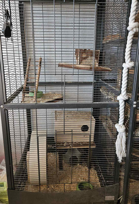 WhatsApp Image 2025-04-25 at 20.42.54.jpg