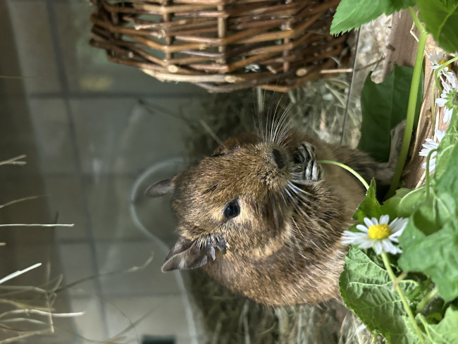 Keine Ahnung warum die Bilder gedreht angezeigt werden.