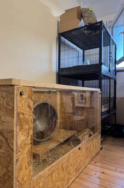 Screenshot 2025-09-18 at 19.26.09.png