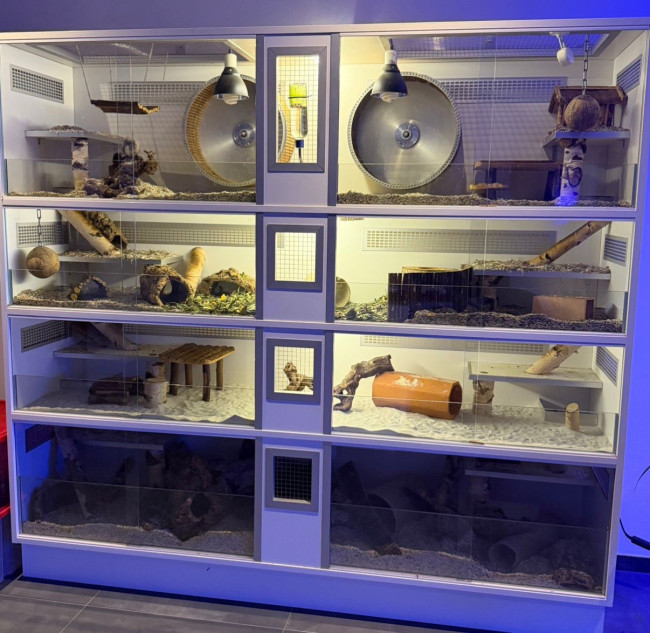 WhatsApp Bild 2025-11-06 um 19.21.23_fc726601.jpg