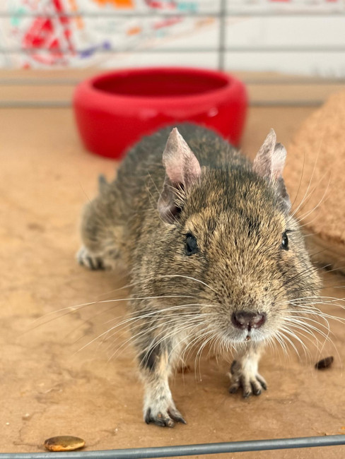 WhatsApp Image 2026-02-09 at 12.59.28.jpeg