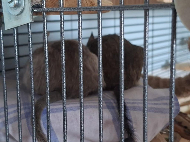 IMG_20260403_092142 -1.jpg