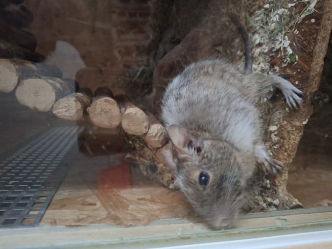 20260626_124458.jpg