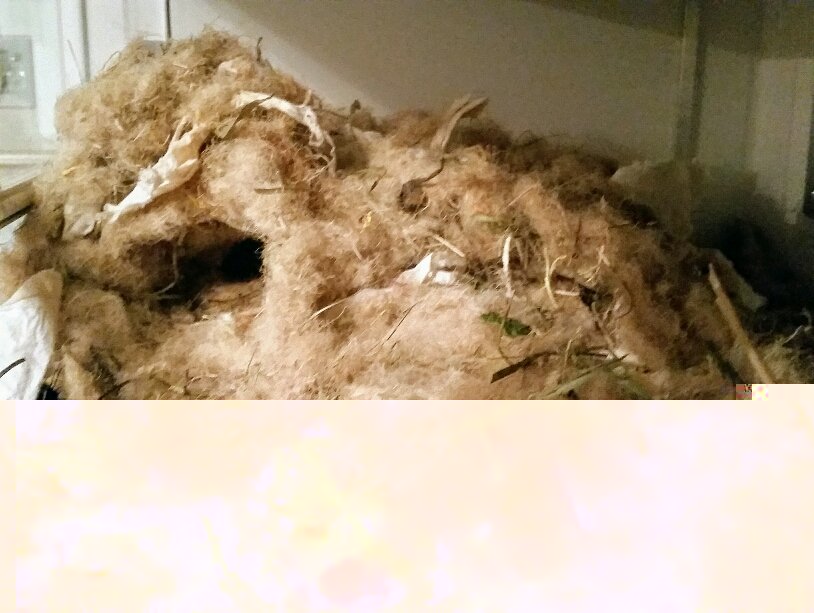 2020-01-16 00.41.29.jpg