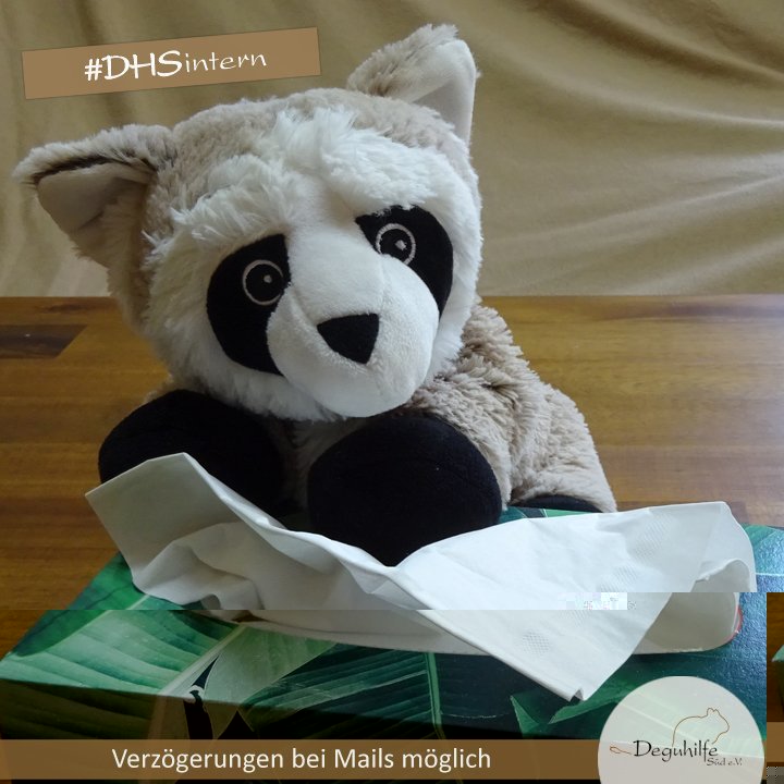 verzögerte Mails.jpg