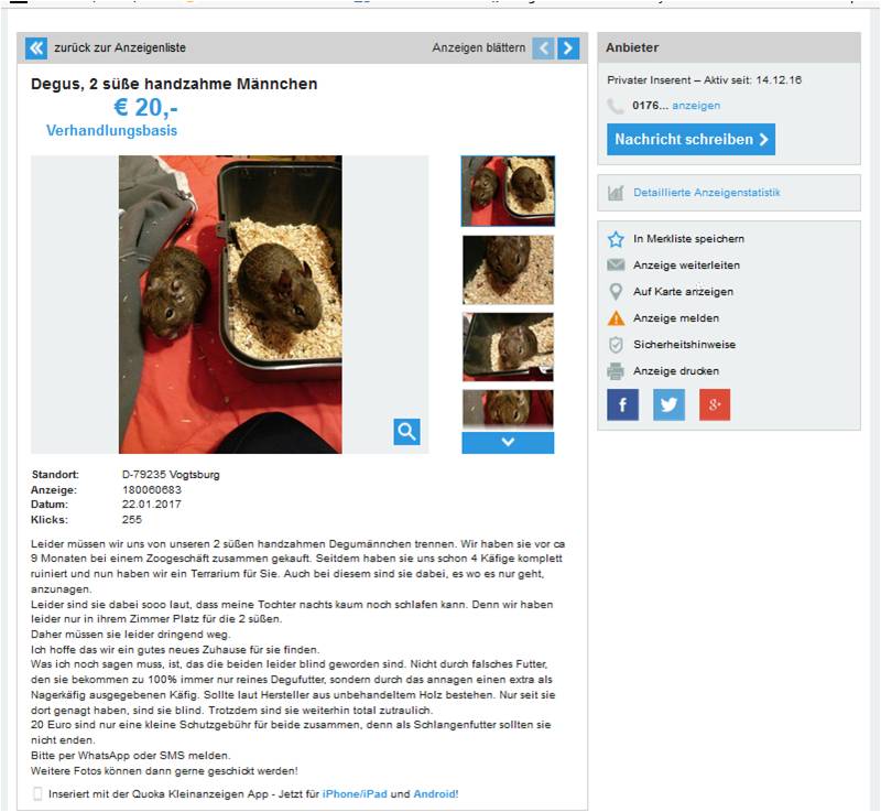 Bild1.jpg