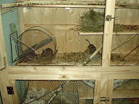 käfig überblick.JPG