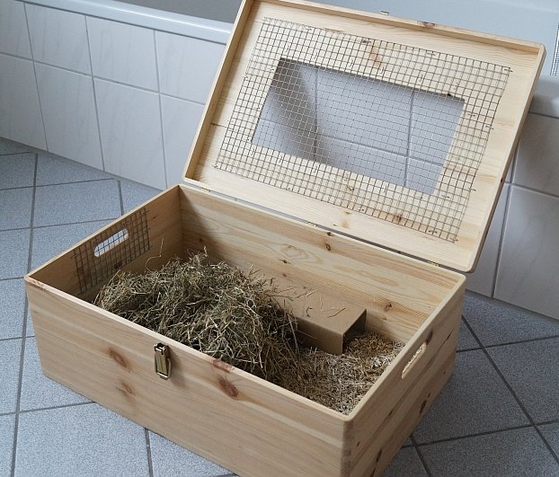 Holzbox.jpg