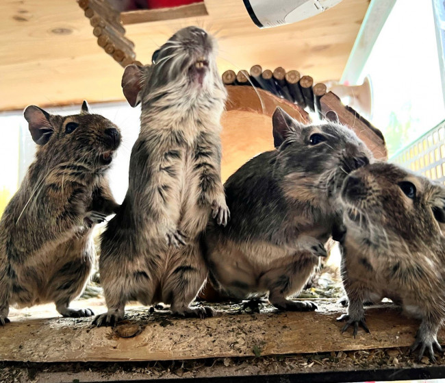 Screenshot 2022-04-07 185625.jpg