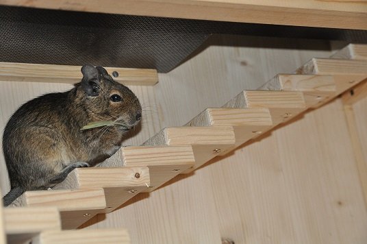 DSC_0008.JPG