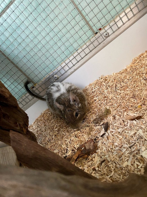 Niall.jpg (259.06 KiB) 5526 mal betrachtet Niall