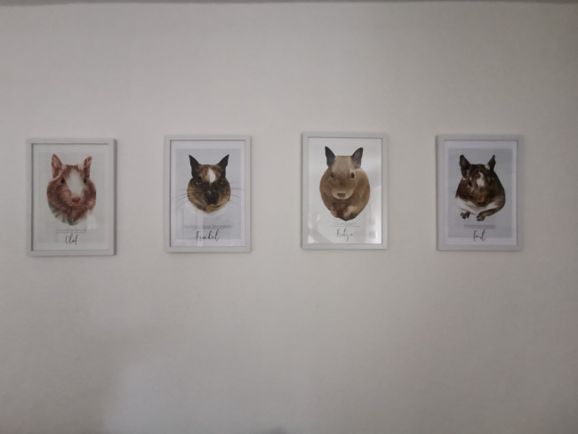 IMG_20230319_111627-min.jpg (390.36 KiB) 5902 mal betrachtet Erinnerungswand