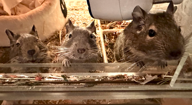 Screenshot 2023-11-08 192433.png