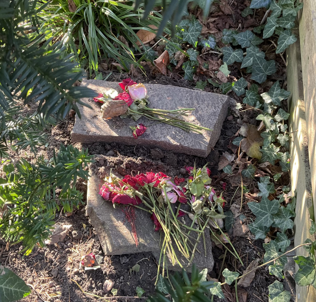 Roxy &amp; Paulinchen